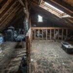 Attic Mold in Your Toronto Home